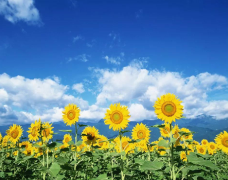 1753782794479939.png image.png